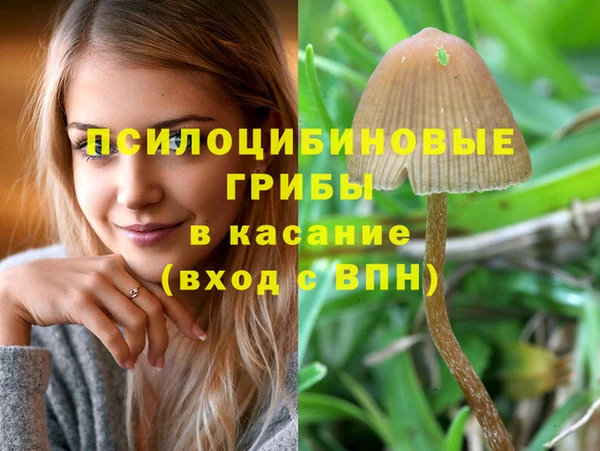 первитин Бронницы