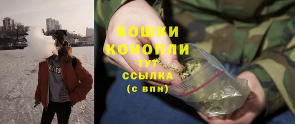 spice Бородино
