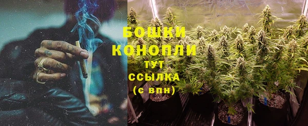 ПСИЛОЦИБИНОВЫЕ ГРИБЫ Бугульма