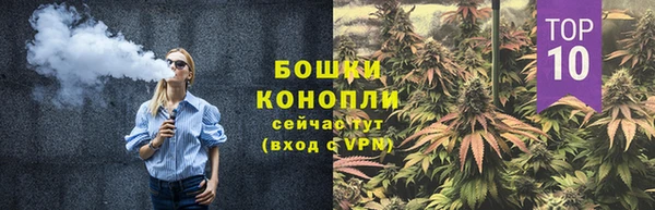 ПСИЛОЦИБИНОВЫЕ ГРИБЫ Бугульма