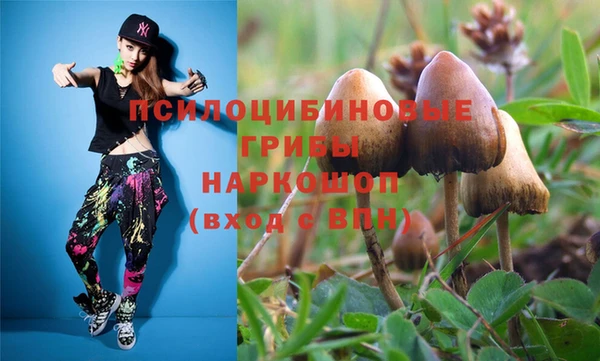 spice Бородино