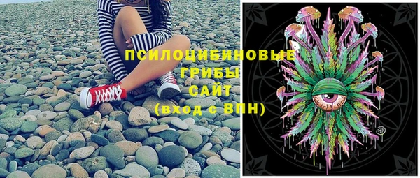 spice Бородино