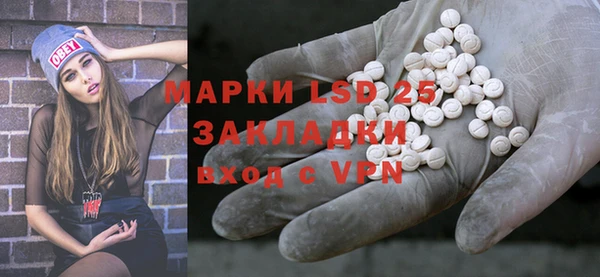 spice Бородино